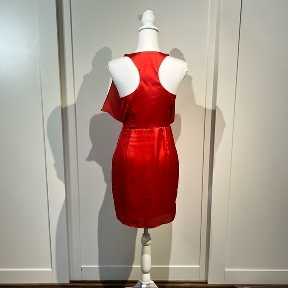 Theme red silk dress - Picture 5 of 6